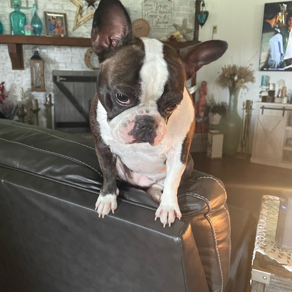 Meet your Posher, Niquette - Picture 7 of 12